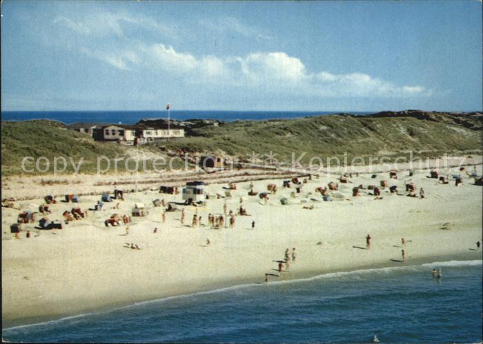 Rantum Sylt Seepferdchen Samoa