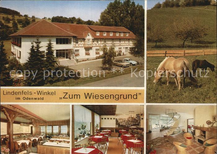 Winkel Odenwald Restaurant Cafe Pension Zum Wiesengrund