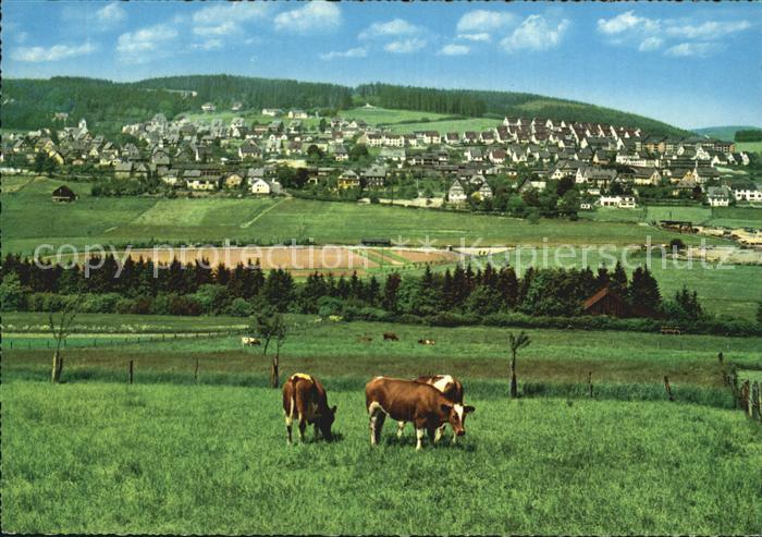 Schmallenberg Blick vom Aberg