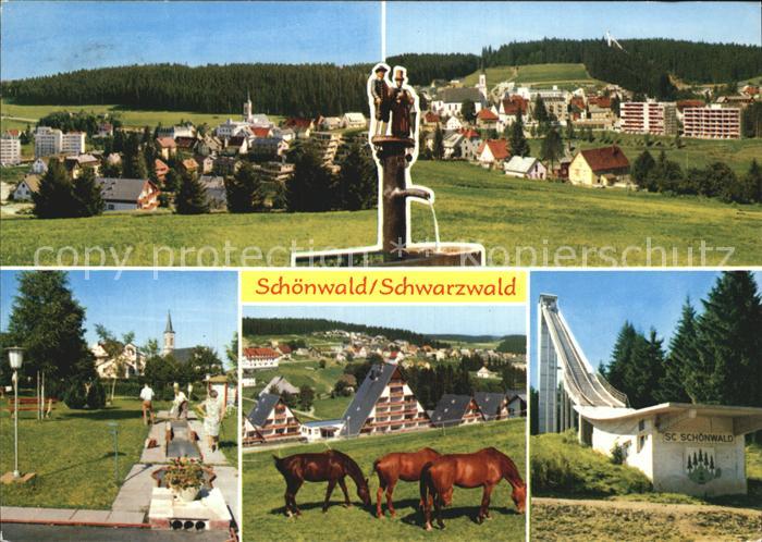 Schoenwald Schwarzwald Panorama Minigolf SC Schoenwald