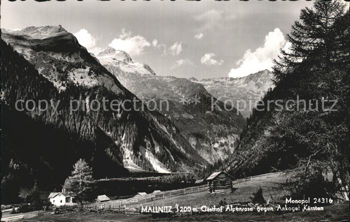 Mallnitz Kaernten Gasthof Alpenrose Ankogel