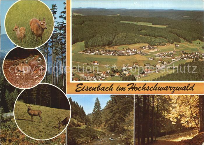Eisenbach Schwarzwald Panorama