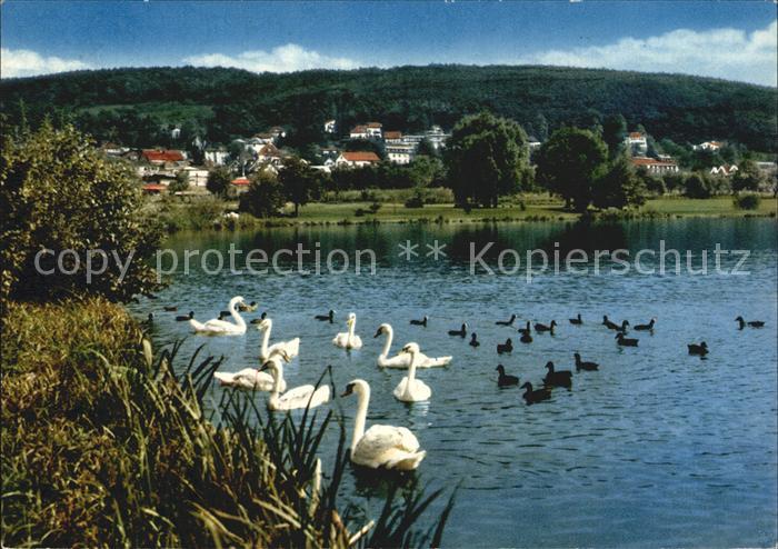 Bad Koenig Odenwald Kurpark Schwanenteich