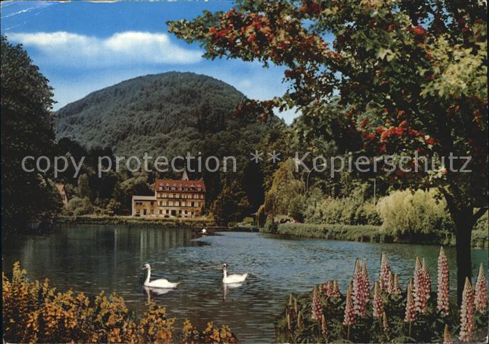 Bad Bergzabern Schwanenweiher