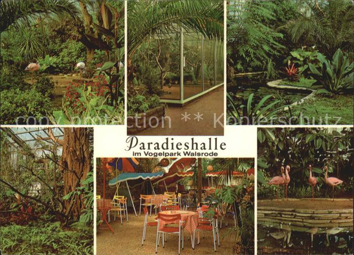 Walsrode Lueneburger Heide Pradieshalle Vogelpark
