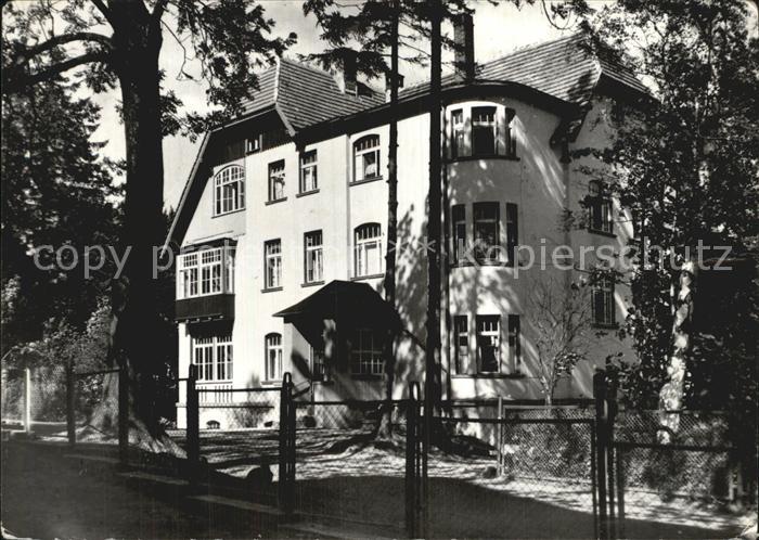 Swieradow Zdroj Bad Flinsberg Narcyz