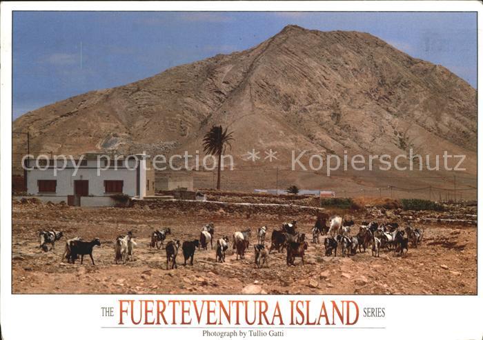 Fuerteventura