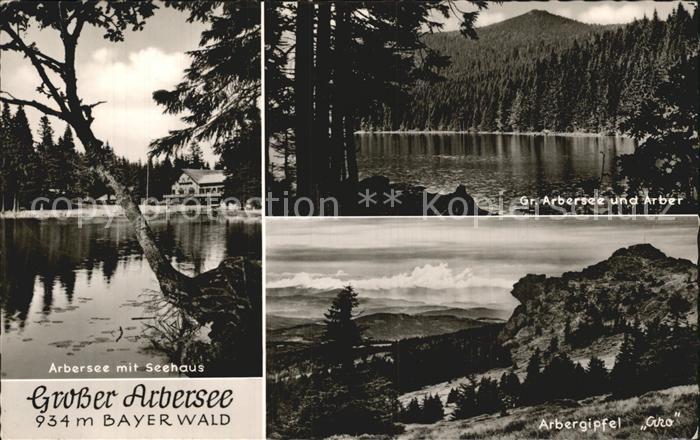 Arbersee Arbergipfel Arber Seehaus Bayerischer Wald
