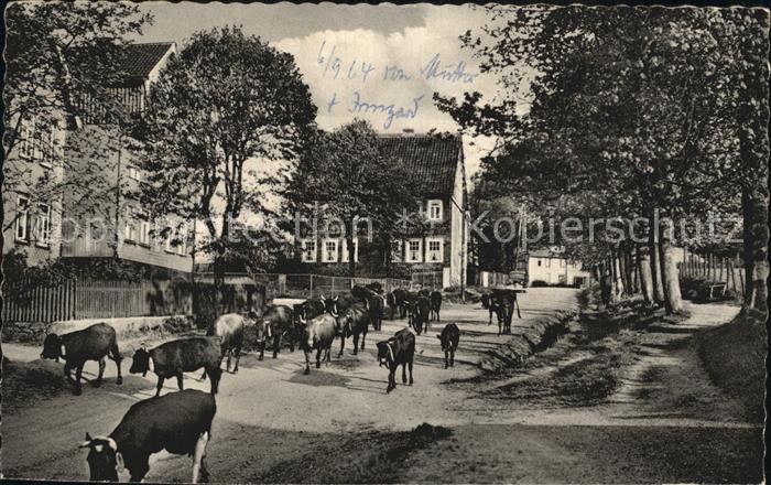 Buntenbock Damenkapelle Oberharz