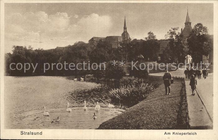 Stralsund Mecklenburg Vorpommern Knieperteich