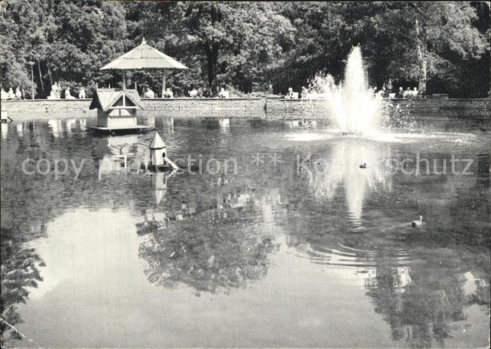 Bad Oeynhausen Goldfischteich