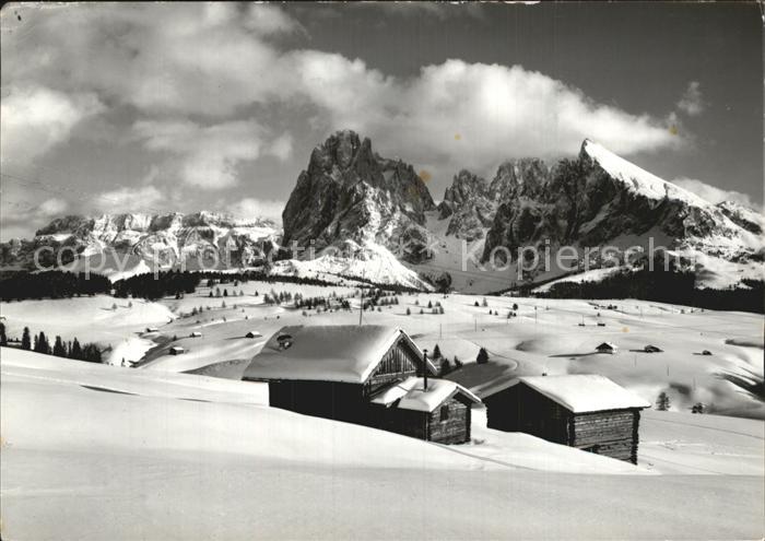 Seiser Alm Dolomiten mit Langkofel