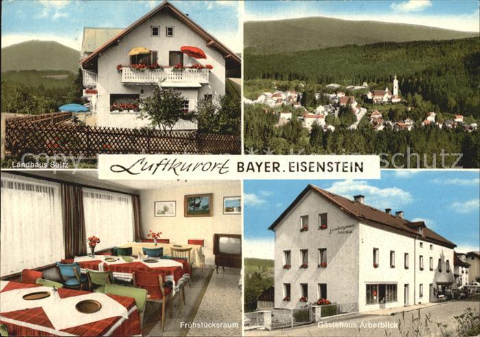 Bayerisch Eisenstein Landhaus Seitz Gaestehaus Arberblick