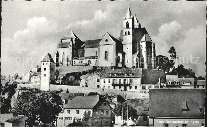 Breisach Rhein Muenster
