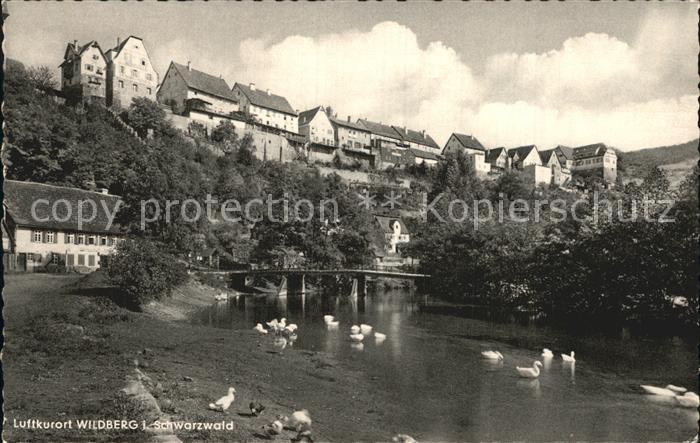 Wildberg Schwarzwald Ortsansicht