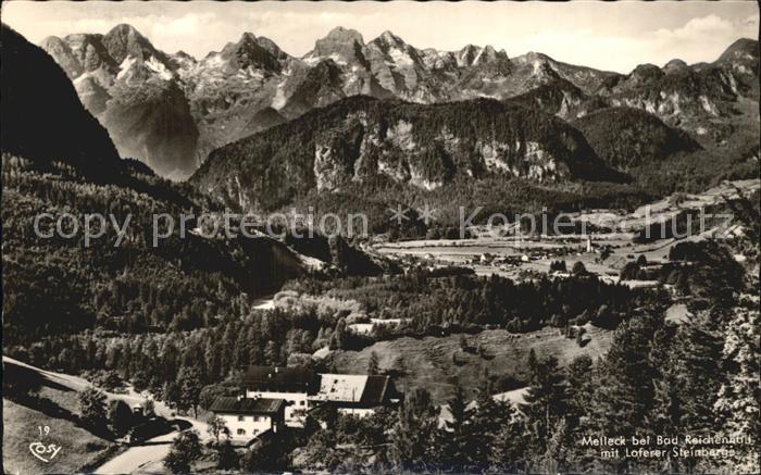 Melleck Loferer Steinberg