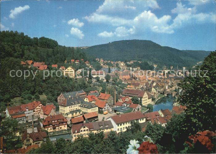 Calw Panorama