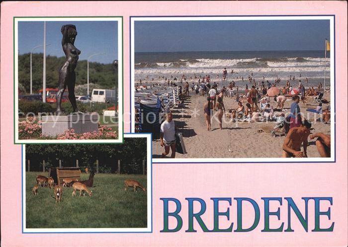 Bredene Strand Denkmal Wildpark