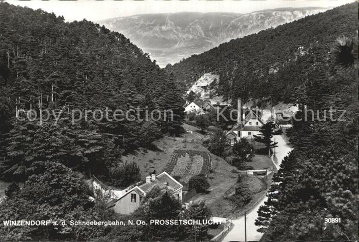 Winzendorf-Muthmannsdorf an der Schneebergbahn Prossetschlucht