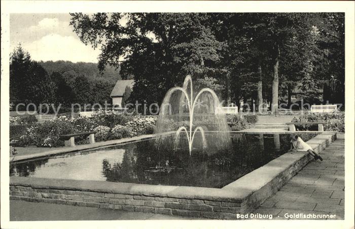 Bad Driburg Goldfischbrunnen