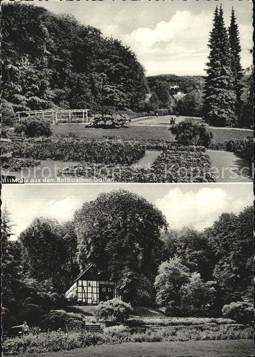 BIELEFELD  CITY Botanischer Garten Cafe Meierhof Olderdissen mit Tierpark