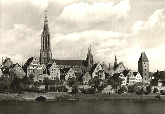 Ulm Donau Muenster Donaupartie
