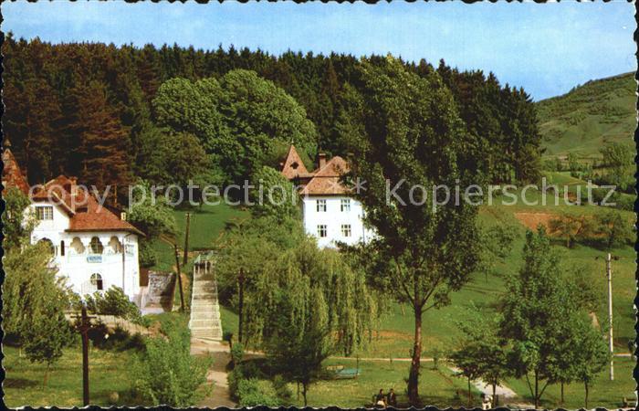 Singeorz-Bai Kurhaus Nr 1 und Nr 2