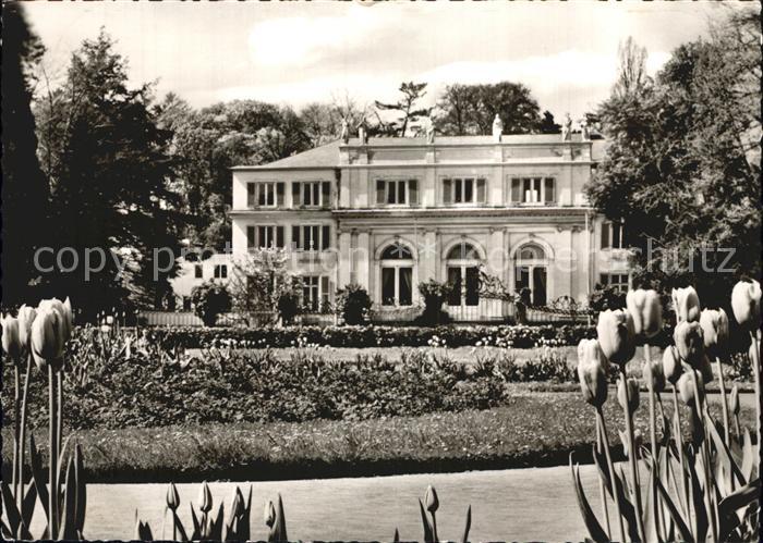 Bad Godesberg Hotel Restaurant La Redoute Tulpen