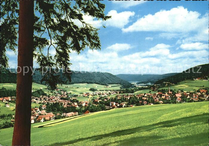 Baiersbronn Schwarzwald Gesamtansicht Luftkurort und Wintersportplatz