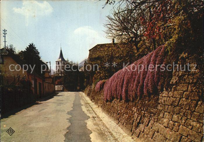 Ottrott Stadtmauer Kirchturm