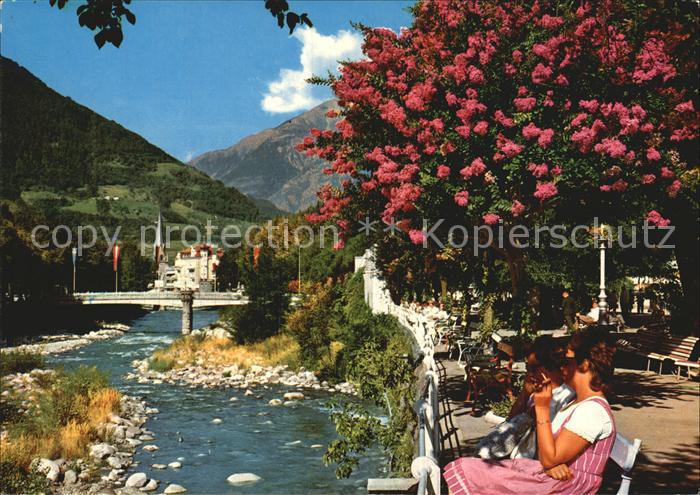 Meran Merano Passeggiata Kurpromenade Baumbluete