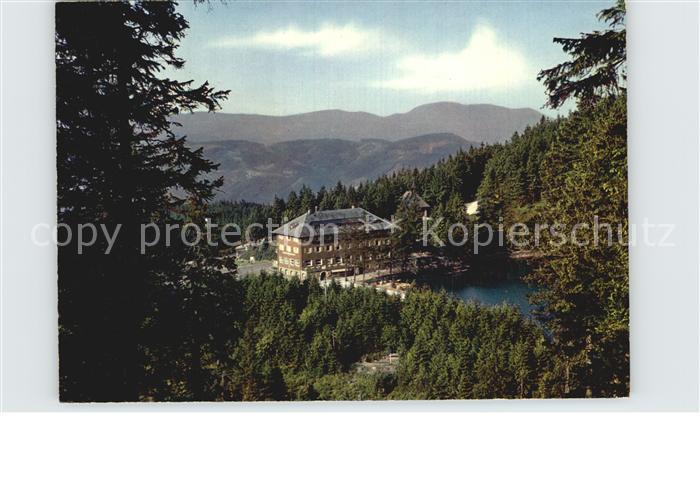 Kappelrodeck Berghotel Mummelsee