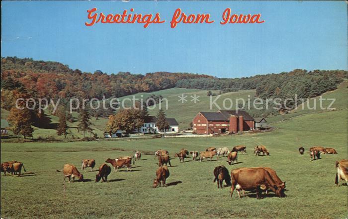Iowa Cows Farm