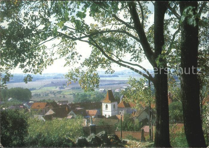 Mlada Vozice Jung Woschitz