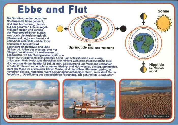 Wissenschaft Science Ebbe und Flut Springtide Nipptide