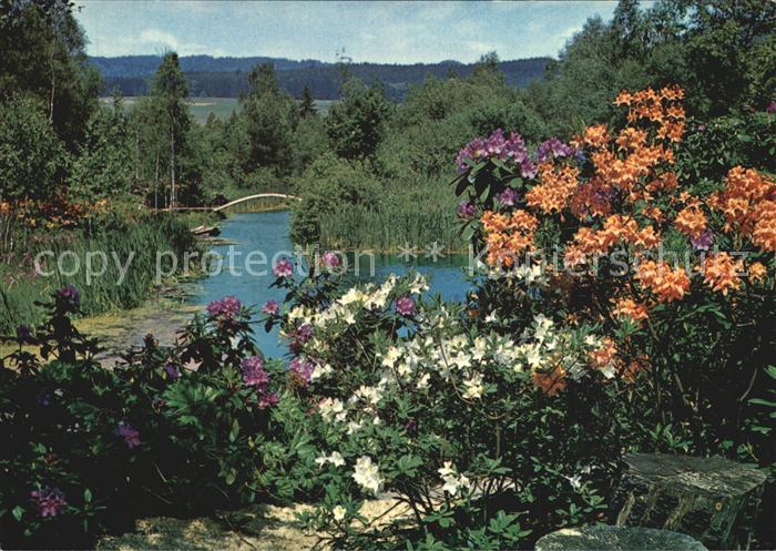 Blumen Park Seleger Moor Rifferswil