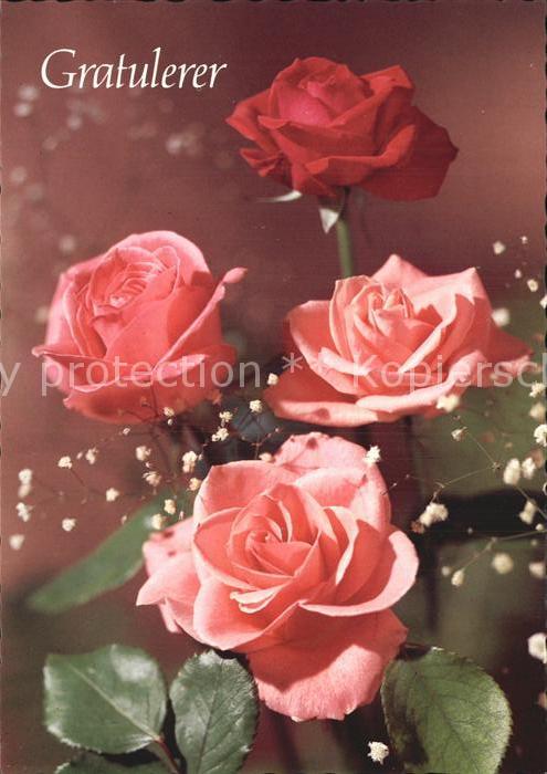 Rosen Glückwunsch