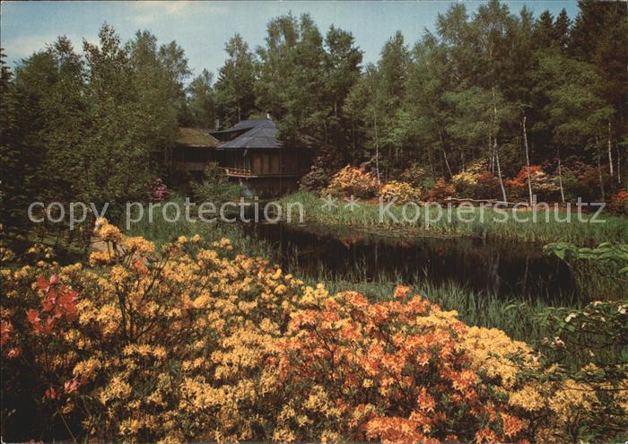 Blumen Park Seleger Moor Rifferswil