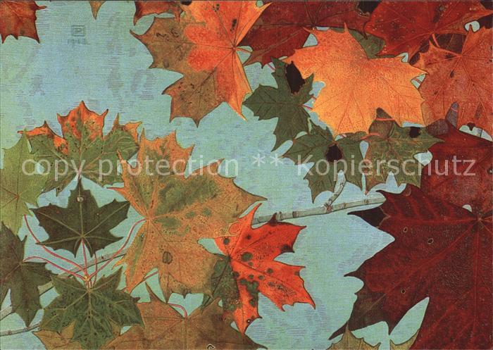 Kuenstlerkarte Philippe Robert Leaves Feuillage UNICEF