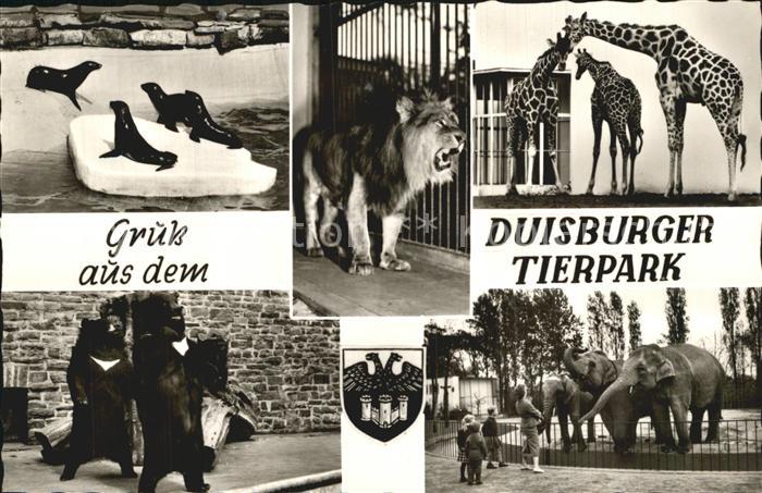 Zoo Duisburg Tierpark Löwe Giraffen Elefant