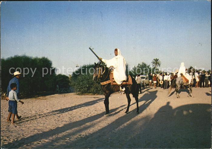 Pferde Jerba Cavalier