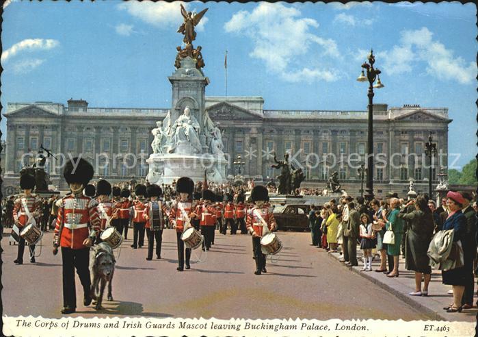 Leibgarde Wache Corps of Drums Irish Guards Mascot Buck
