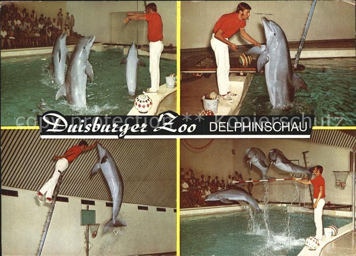 Delfine Delphine Dolphins Dauphins Delfines Duisburg Zoo Delphinschau