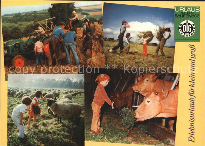 Landwirtschaft Urlaub Bauernhof Traktor Kühe Schafe