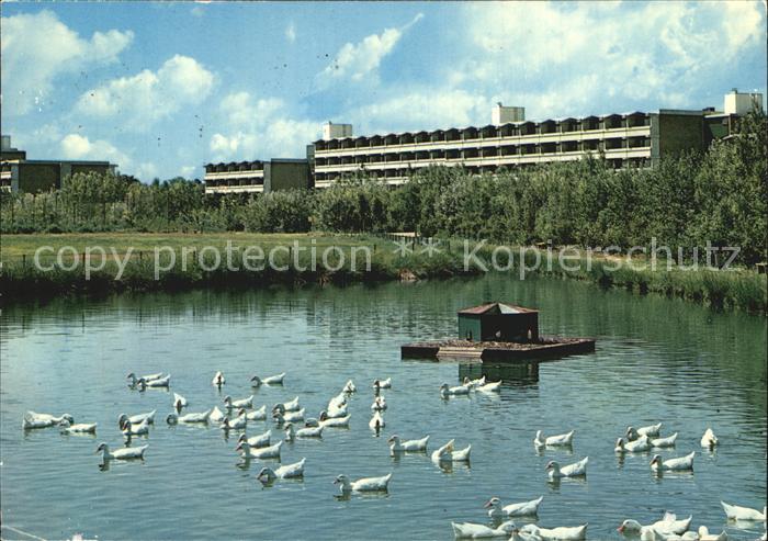 Schoenberg Holstein Ferienzentrum Holm Schwanenteich