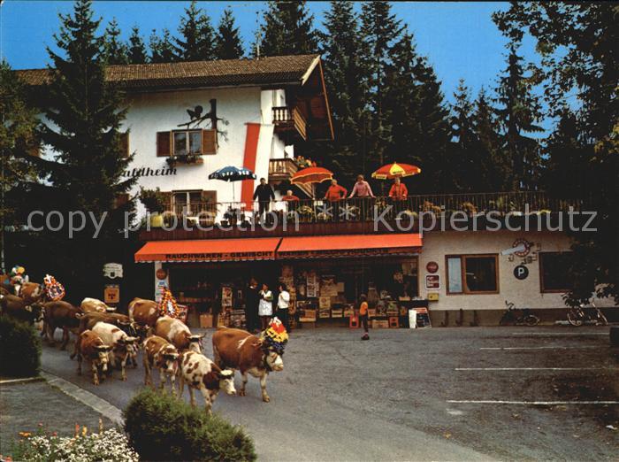 Niederndorf Kufstein Viehabtrieb Gaestehaus Waldheim
