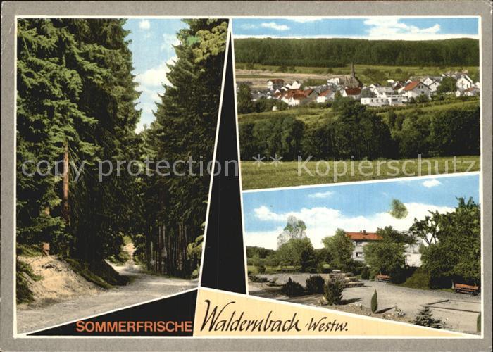 Waldernbach Panorama Waldweg Teilansicht