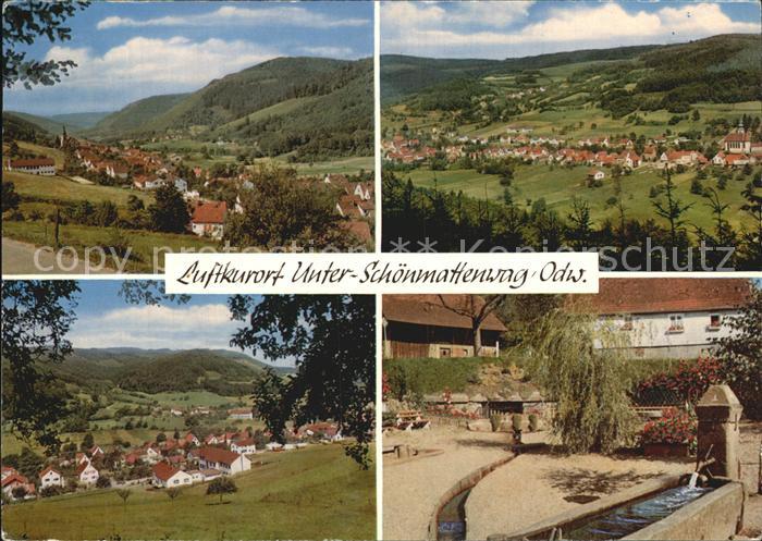 Unter Schoenmattenwag Ortsansichten Panorama Brunnentrog