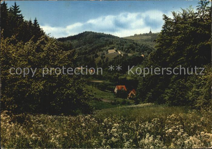 Teutoburgerwald Lippische Schweiz mit Hermannsdenkmal