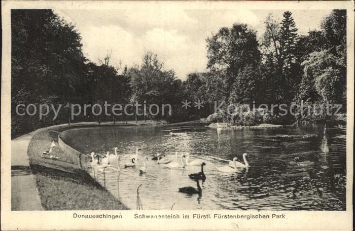 Donaueschingen Schwanenteich im Fuerstlichen Park